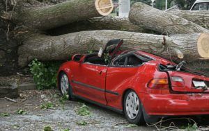 car totaled with ignition interlock